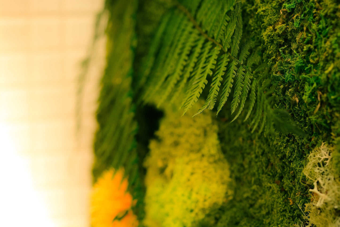 Moss Wall | preserved Moss wall panel | living wall RishStudio