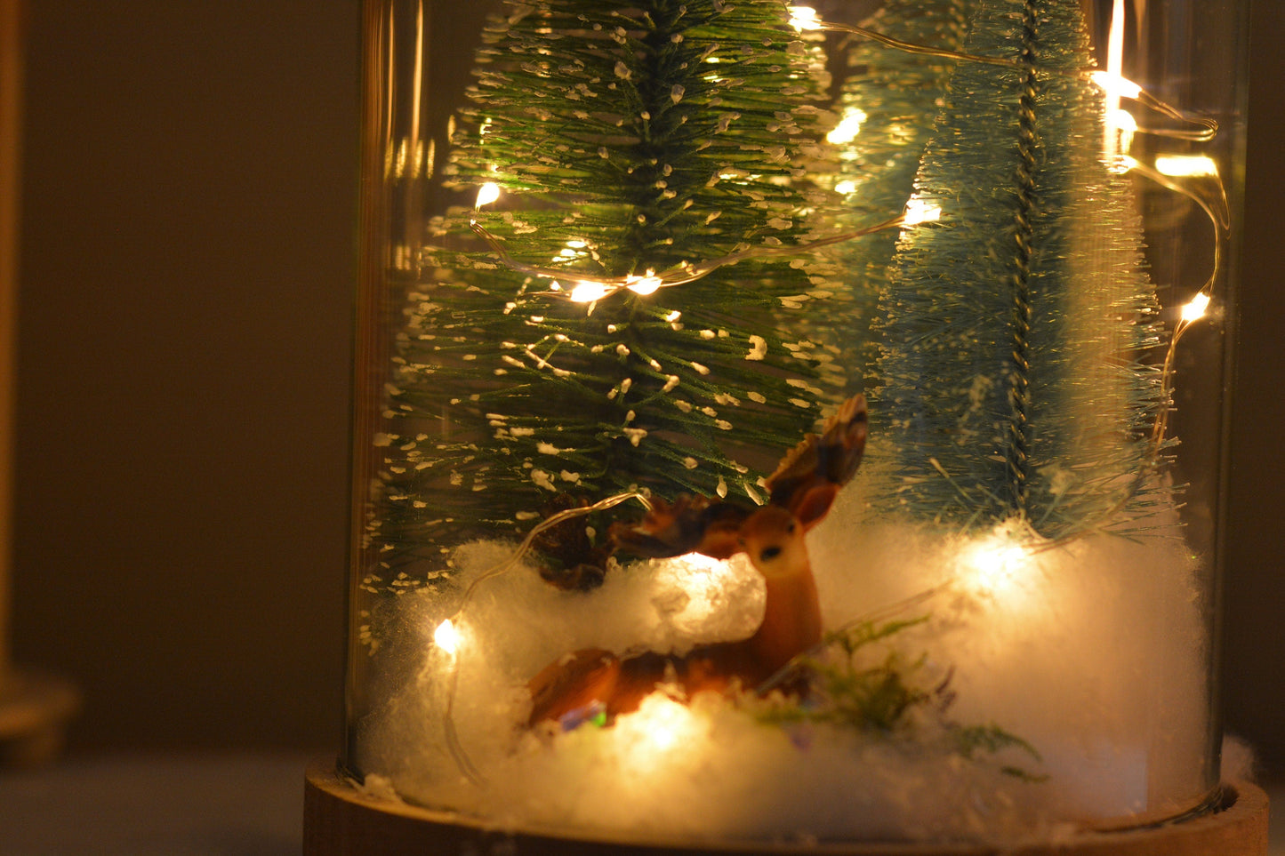 Christmas Terrarium Kit | Glass Dome with Fairy lights | Christmas Decorations RishStudio