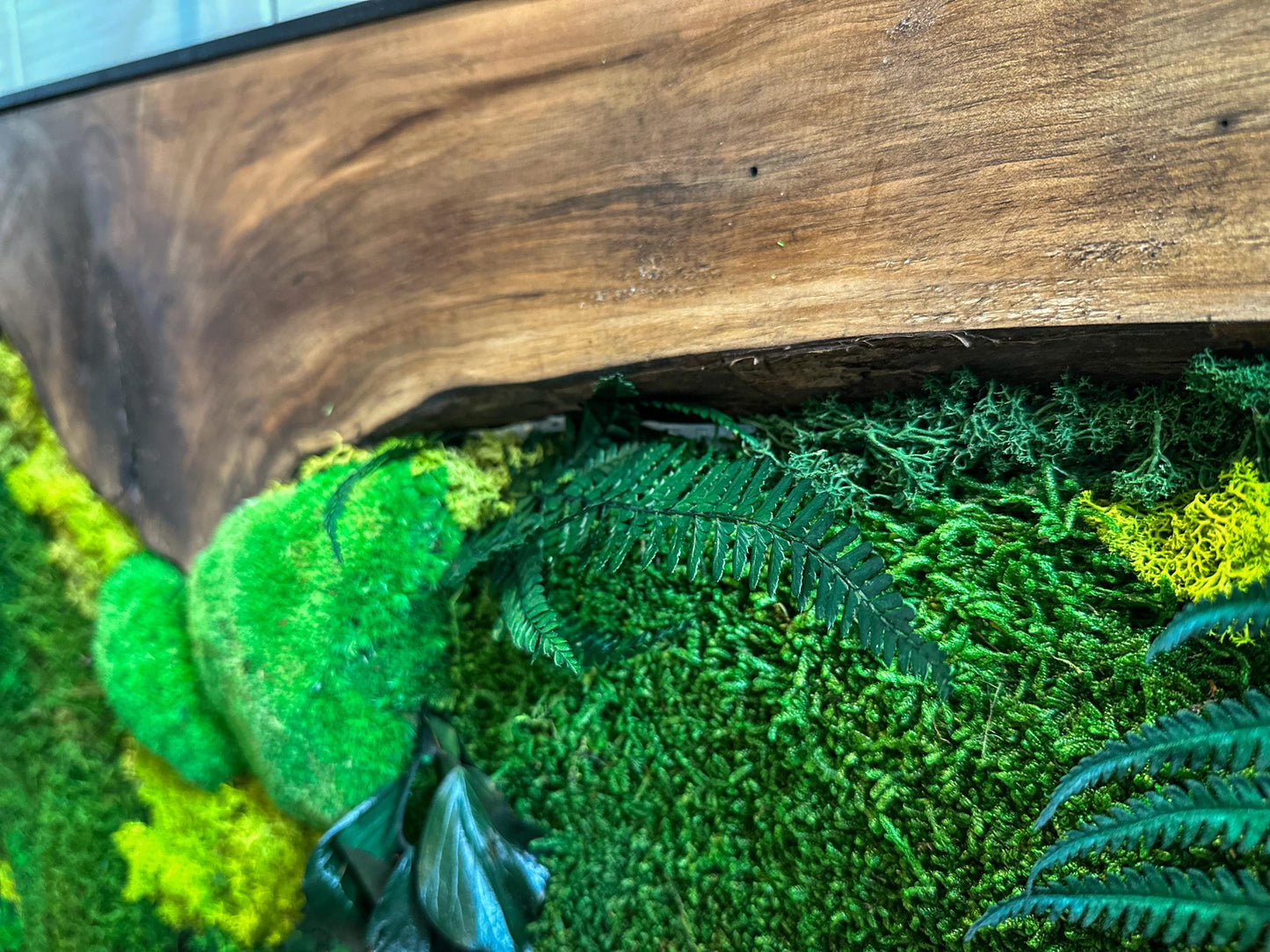 Moss Wall Art with LED Lights, Olive Wood and Preserved Moss Wall Decor, Handmade Biophilic Art, Preserved Stabilized Moss Living Wall Art mossartbyrishstudio
