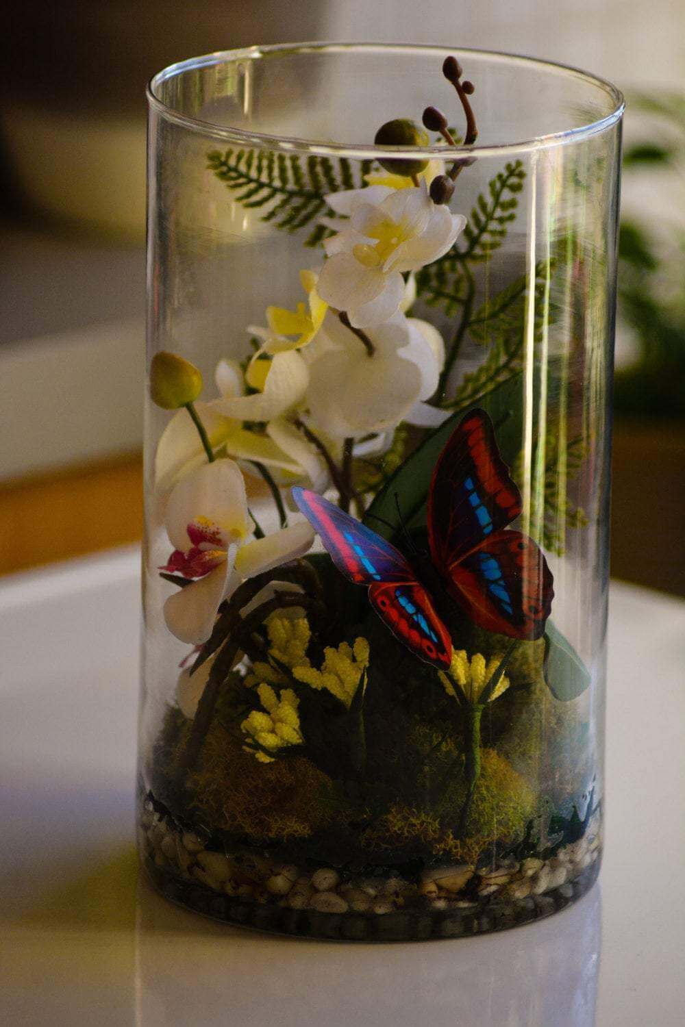 Terrarium, Orchid Terrarium RishStudio
