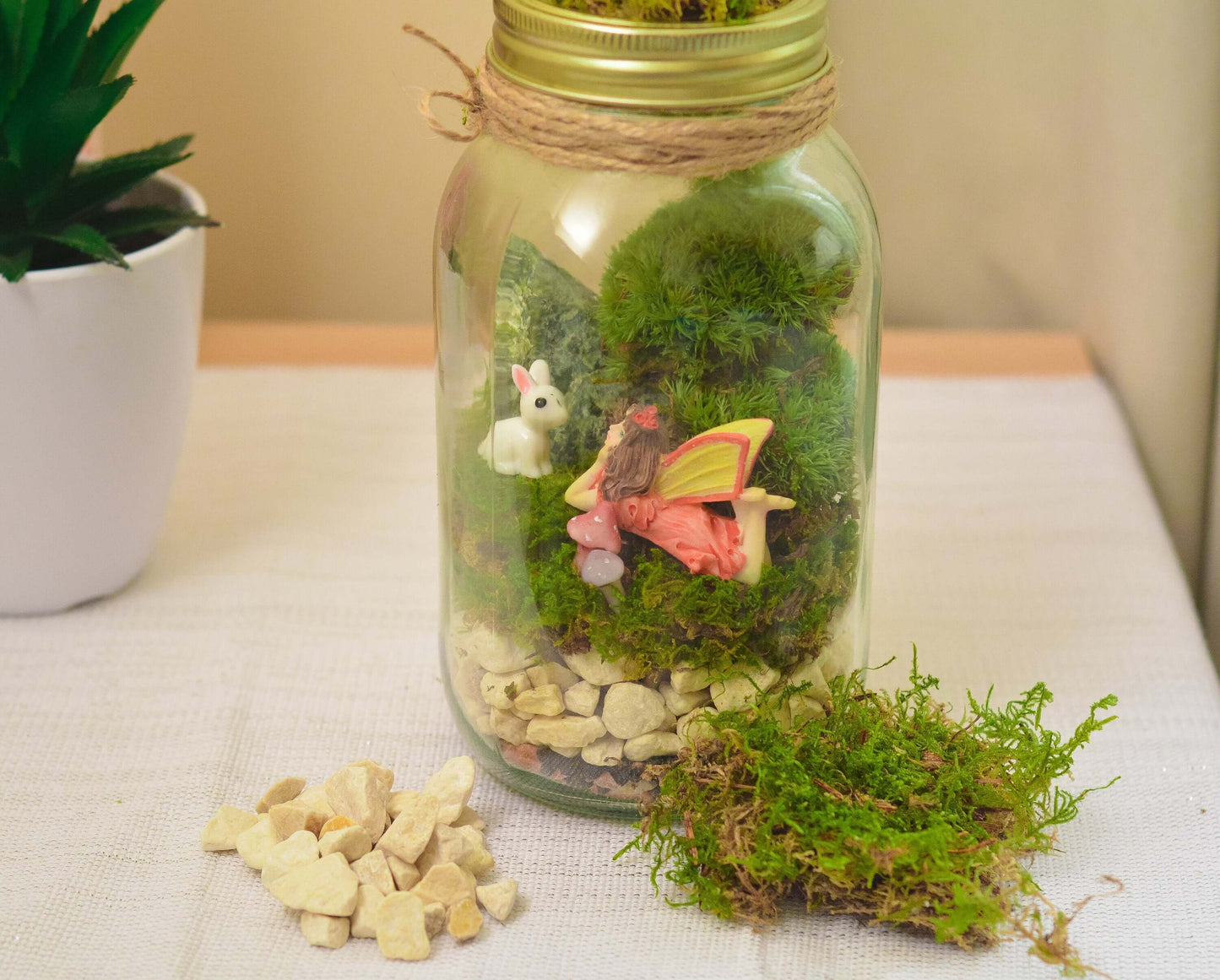 Terrarium kit, Mason jar Terrarium, DIY Terrarium Kit RishStudio