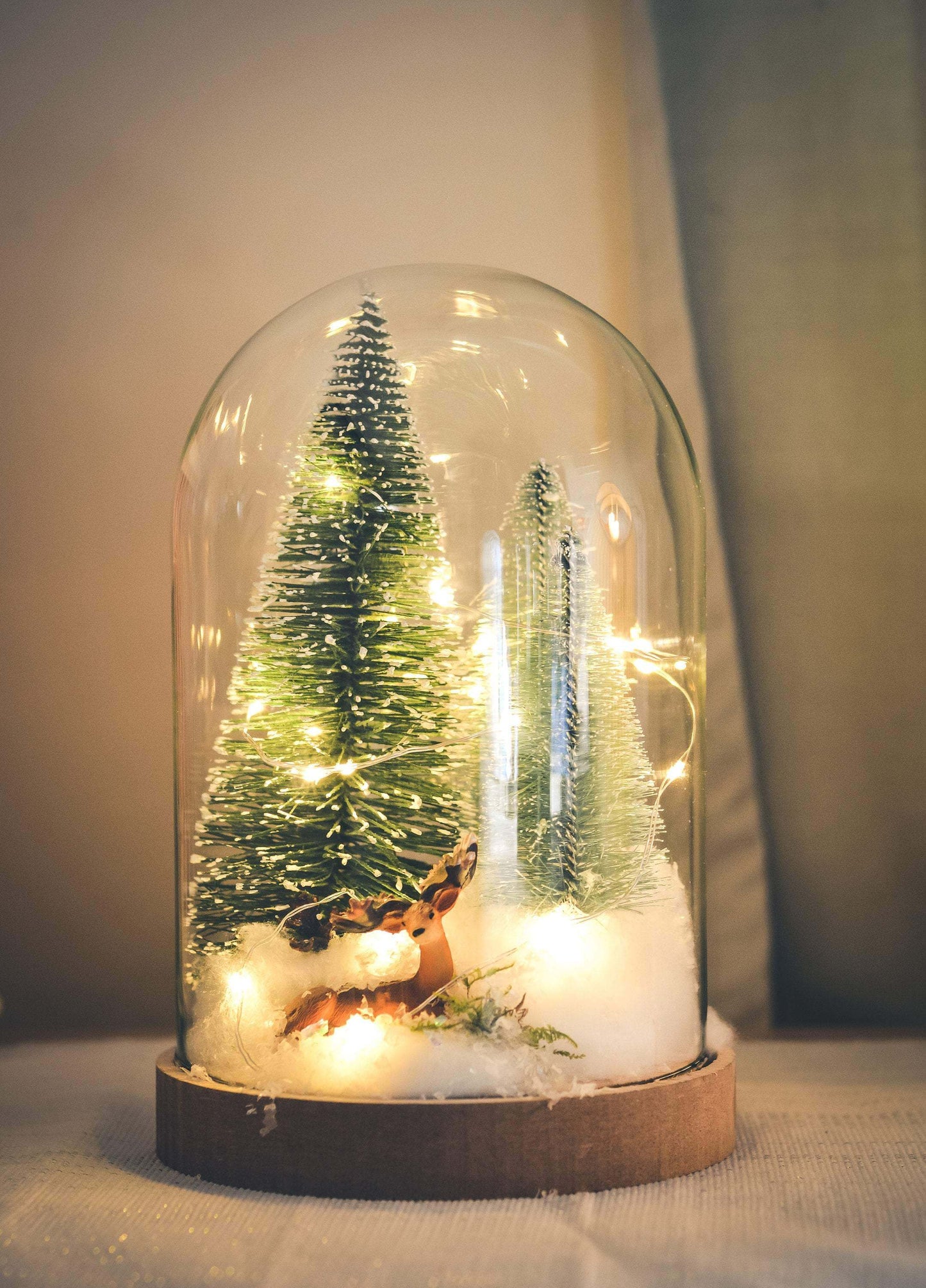 Christmas Terrarium Kit | Glass Dome with Fairy lights | Christmas Decorations RishStudio