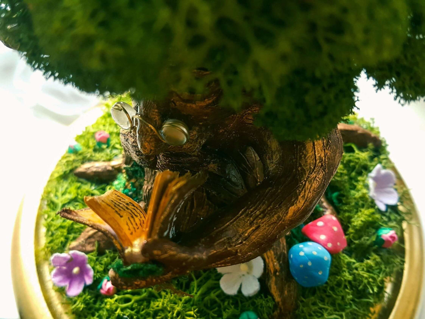 Fairy Garden Kit with Glass Dome - Miniature Garden RishStudio