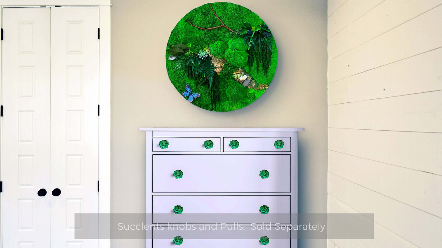 round moss wall art, preserved moss circle decor, biophilic wall art, fern and bark wall sculpture, handmade botanical wall decor, forest-inspired wall art, circular moss frame, eco-friendly wall hanging, modern nature wall piece, zero maintenance greenery art, moss and butterfly decor, green wall decor UK, woodland themed home decor, real moss wall panel