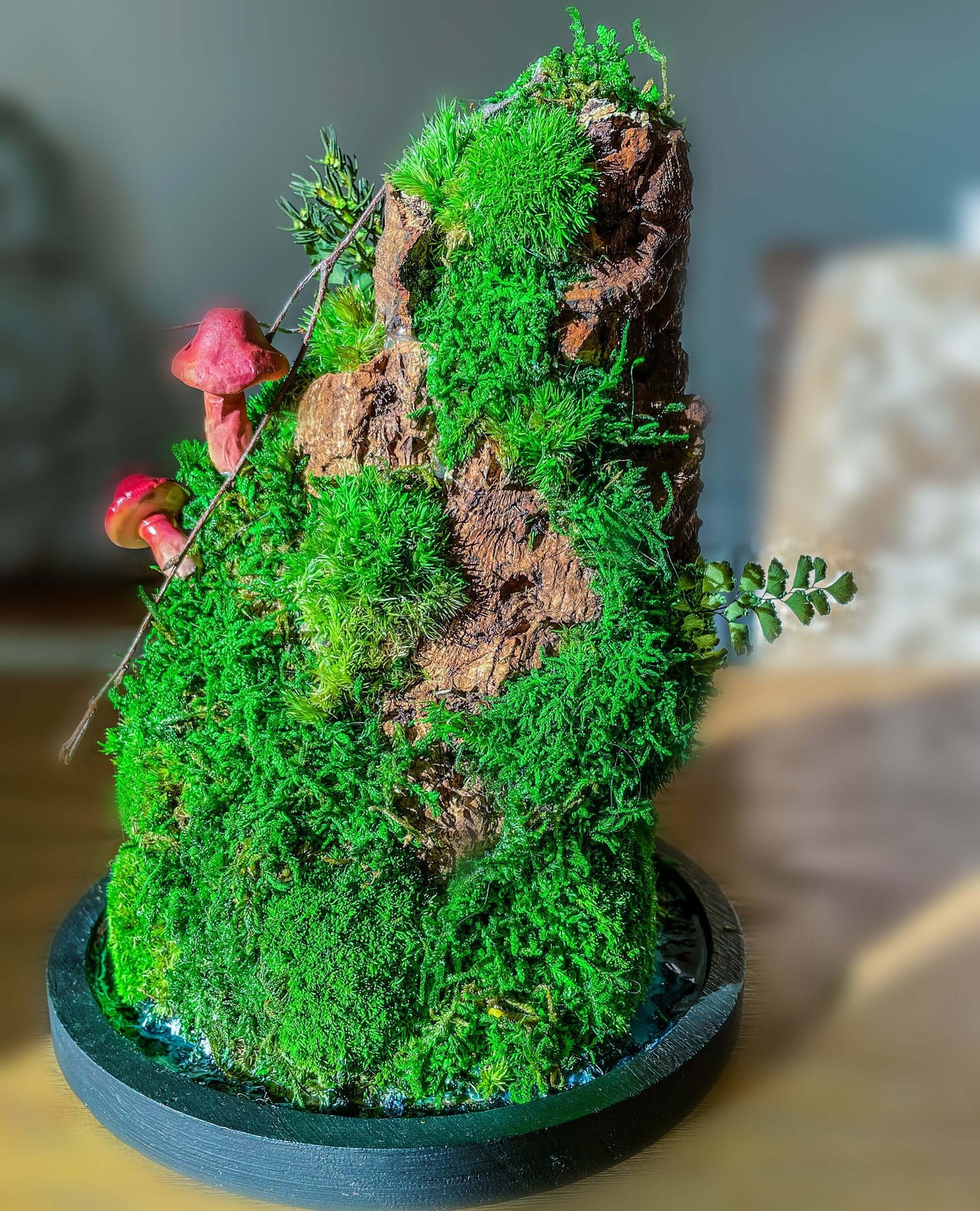 Moss Vivarium | Preserved Moss Terrarium | RishStudio mossartbyrishstudio