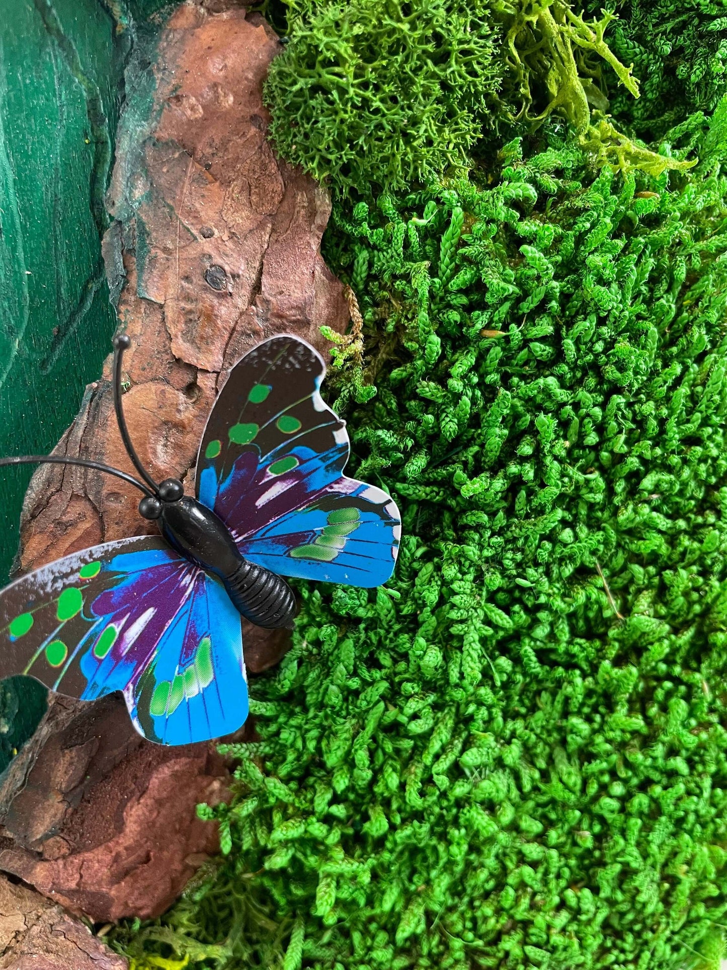 hobbit door wall art, round fairy door decor, moss fairy door wall hanging, woodland fantasy home decor, preserved moss wall sculpture, enchanted door wreath, whimsical nature wall art, handmade fantasy door, cottagecore wall decor, butterfly moss art, magical forest door, fairy house front door, lord of the rings themed decor, eco friendly fairy art, uk handmade wall hanging