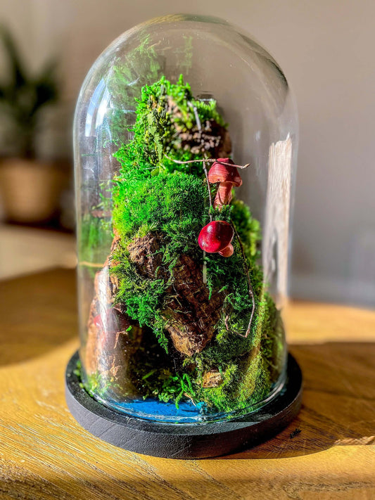 Terrarium, Moss vivarium, No maintenance terrarium, Preserved Moss Terrarium, plant terrarium, terrarium gift, Complete moss Terrarium