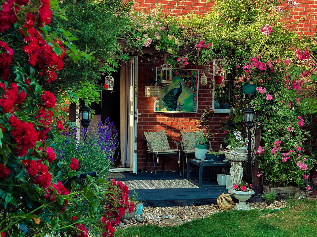 Shadows to Showstoppers: How to Grow 5 Spectacular Roses That Thrive in the Shade