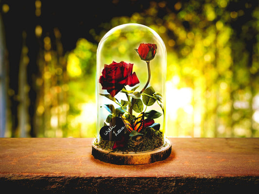 Beauty & The Beast inspired enchanted rose in a glass dome, Glass dome