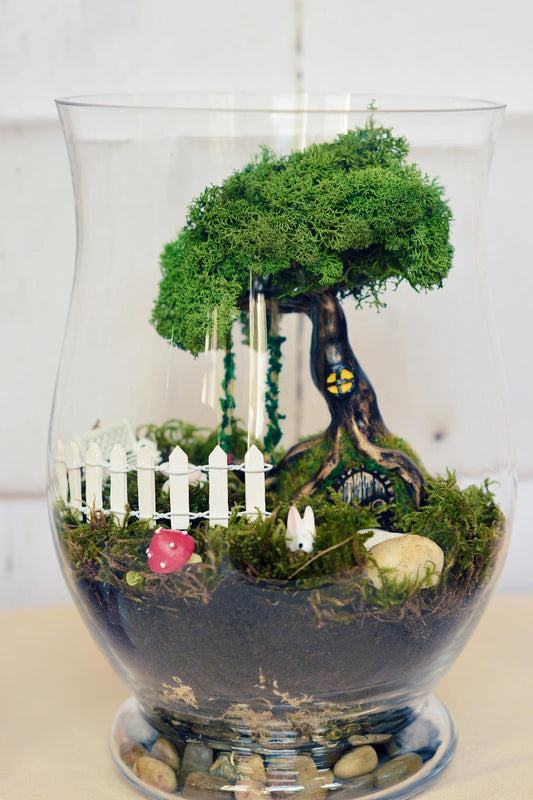 Moss Terrarium