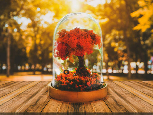 Bring Life to Your Living Space with an Autumn Terrarium