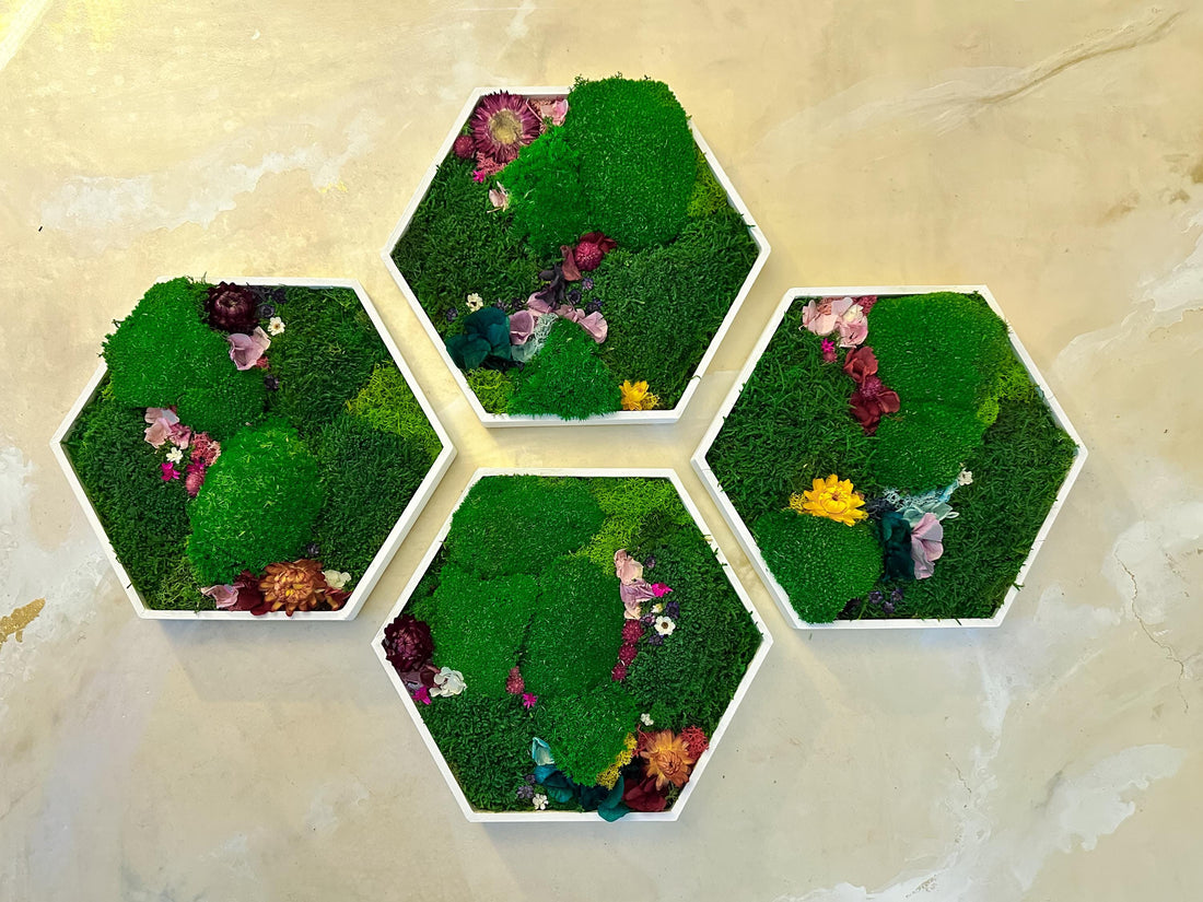 Transform Your Space with Hexagonal Moss Wall Art: The Perfect Blend of Nature and Elegance