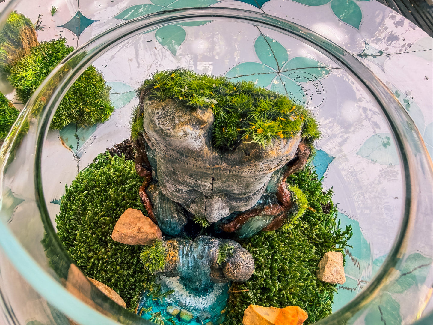 Buddha Terrarium | Terrarium Kit with Glass Container RishStudio