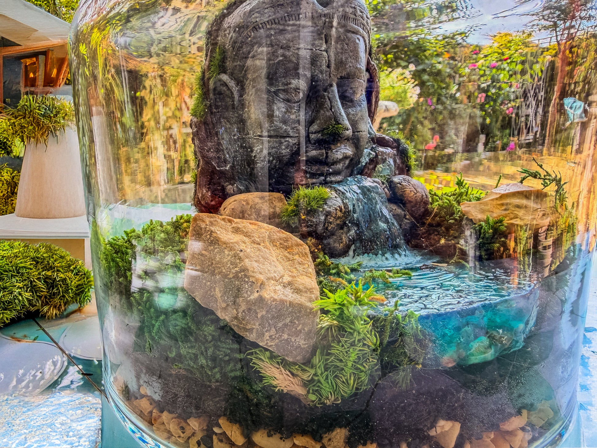 Buddha Terrarium | Terrarium Kit with Glass Container RishStudio
