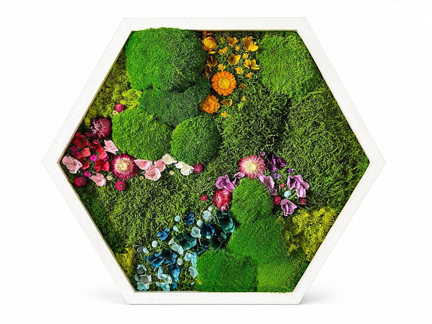 Hexagon Moss Wall Art | Preserved Moss & Dried Floral Frame | Biophilic Decor RishStudio