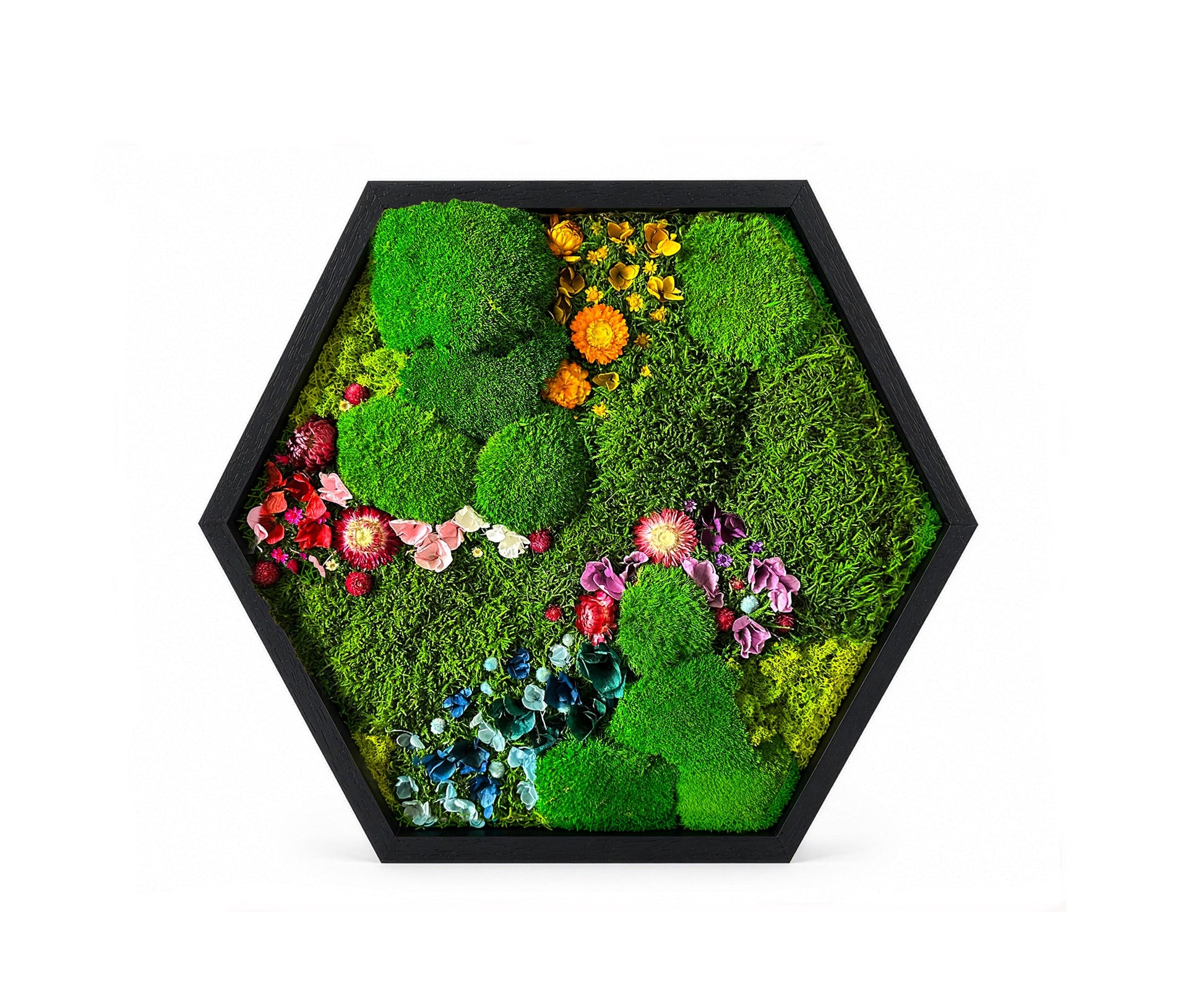 Hexagon Moss Wall Art | Preserved Moss & Dried Floral Frame | Biophilic Decor RishStudio