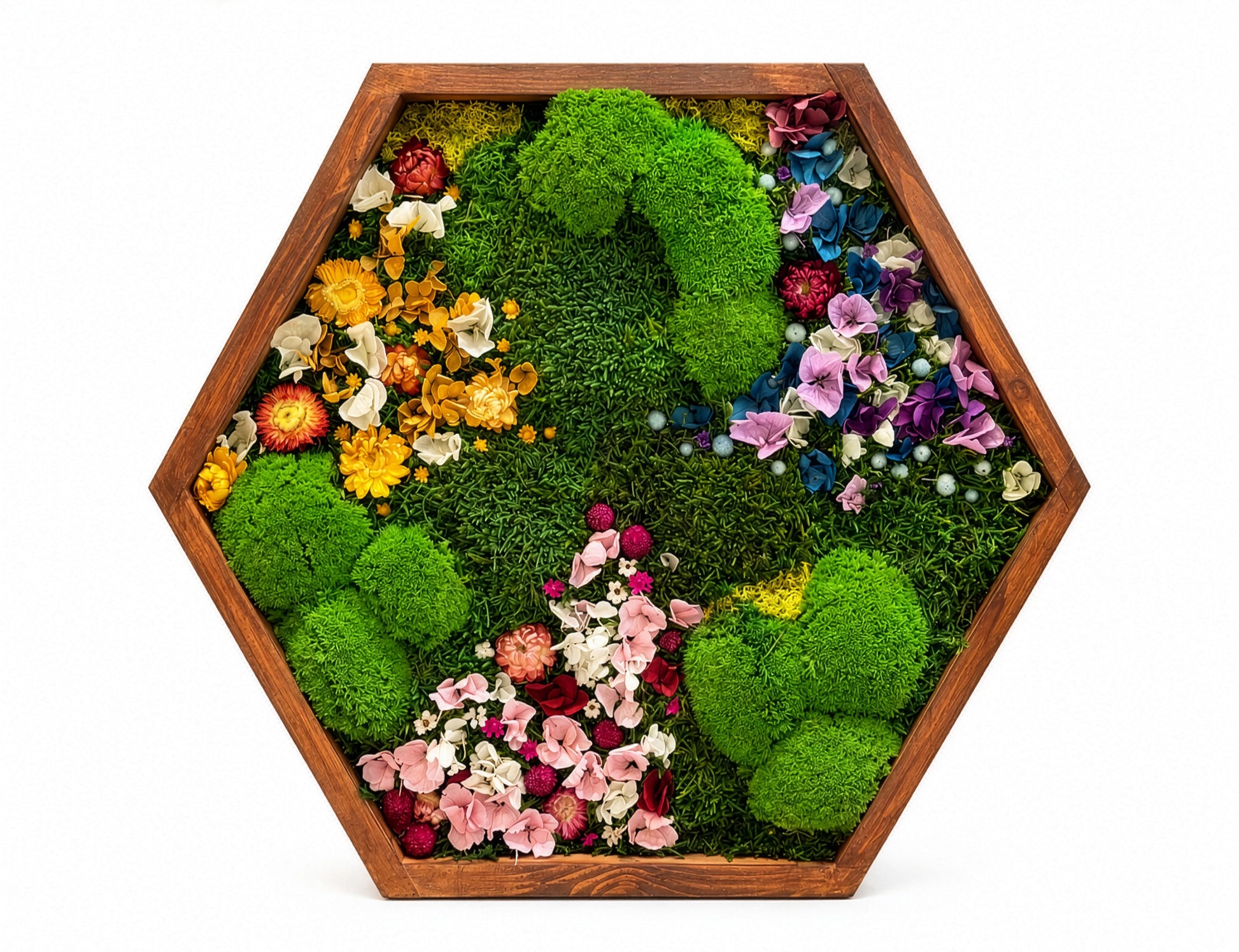 Hexagon Moss Wall Art | Preserved Moss & Dried Floral Frame | Biophilic Decor RishStudio
