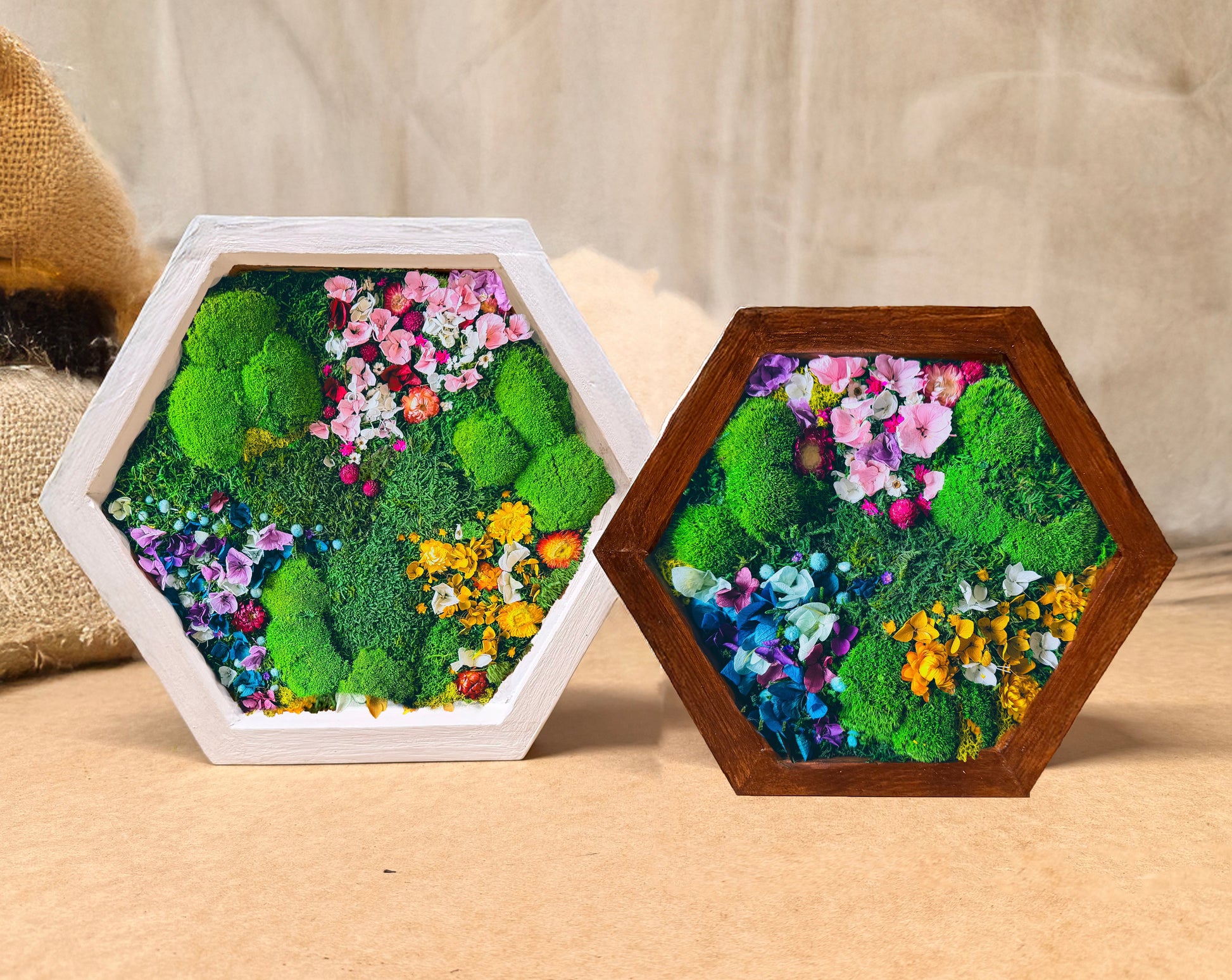 Hexagon Moss Wall Art | Preserved Moss & Dried Floral Frame | Biophilic Decor RishStudio