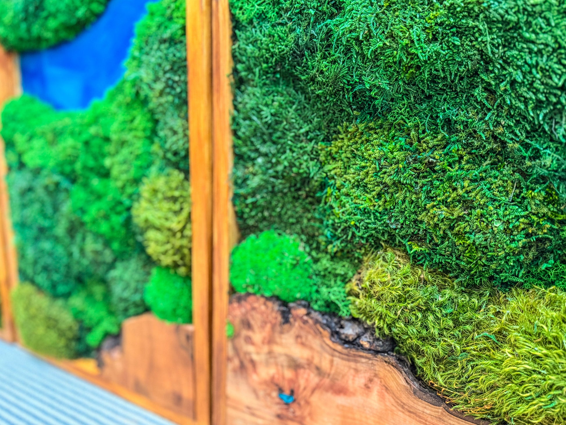 Moss Wall Art Triptych | Preserved Moss & Teak Resin Wall Decor – Azure River Series mossartbyrishstudio