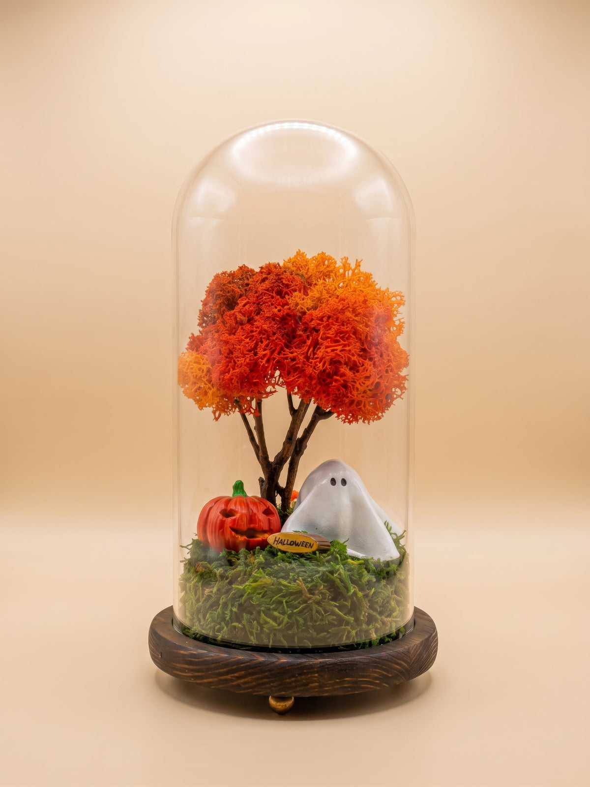 Halloween Terrarium with Ghost & Pumpkin | LED Cloche Decor | Handmade UK RishStudio