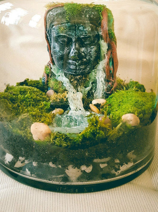Buddha Terrarium | Terrarium Kit with Glass Container RishStudio