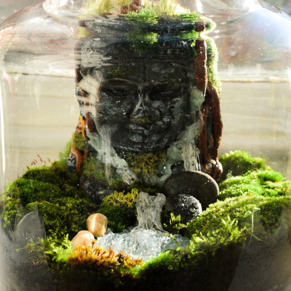 Buddha Terrarium | Terrarium Kit with Glass Container RishStudio