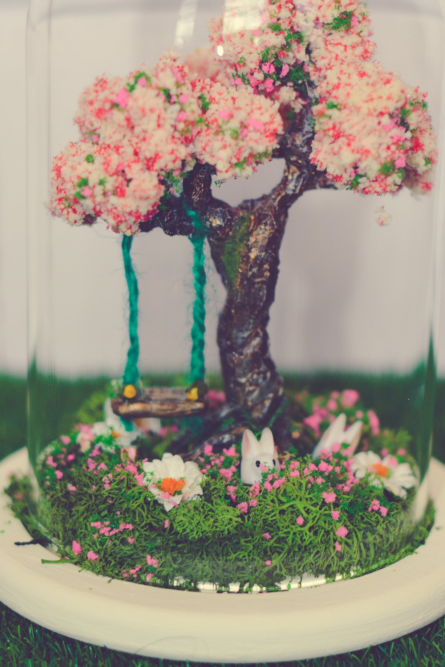 Terrarium, Terrarium kits, Cherry Blossom Terrarium RishStudio