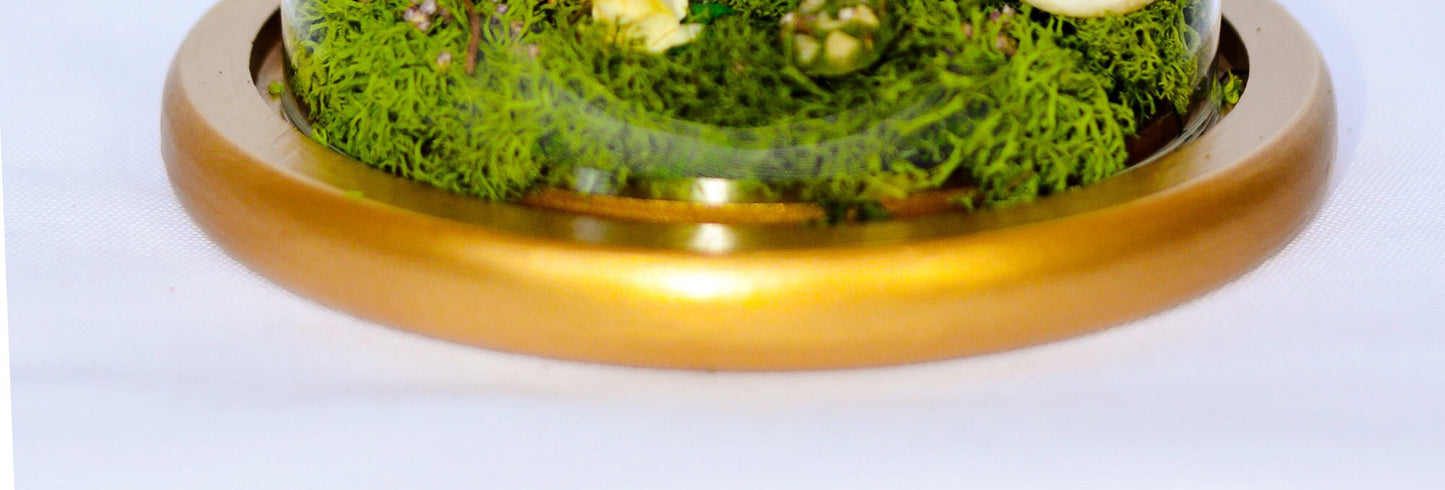 Terrarium, Terrarium kits, Cherry Blossom Terrarium RishStudio