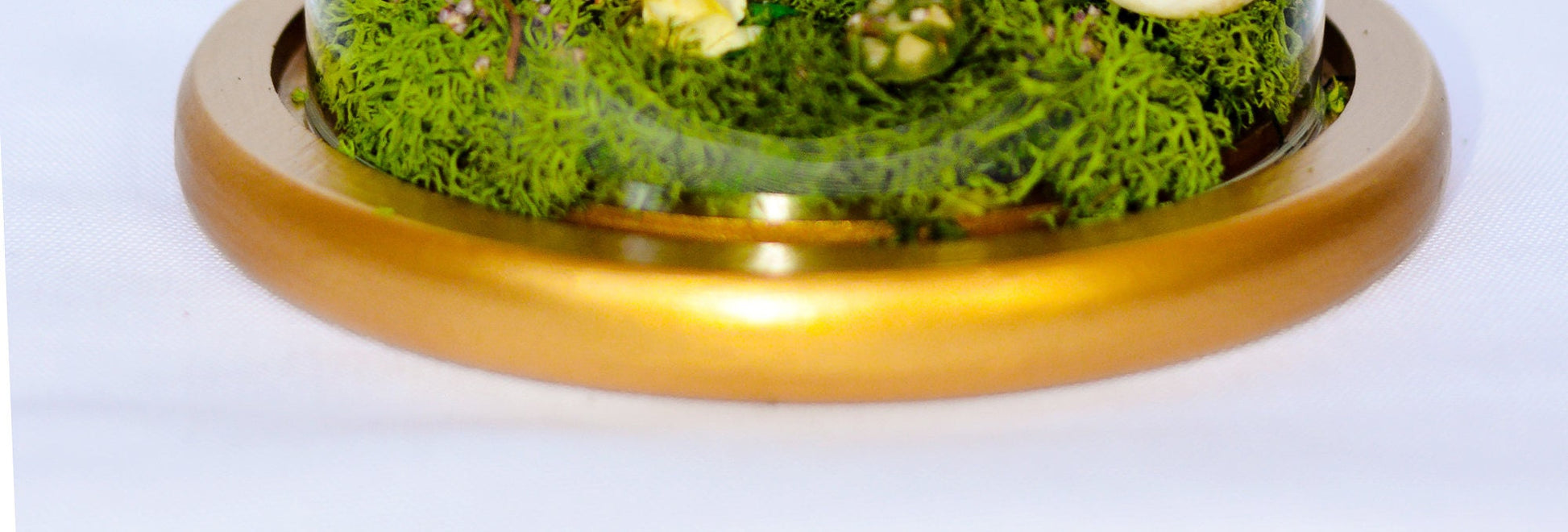 Terrarium, Terrarium kits, Cherry Blossom Terrarium RishStudio