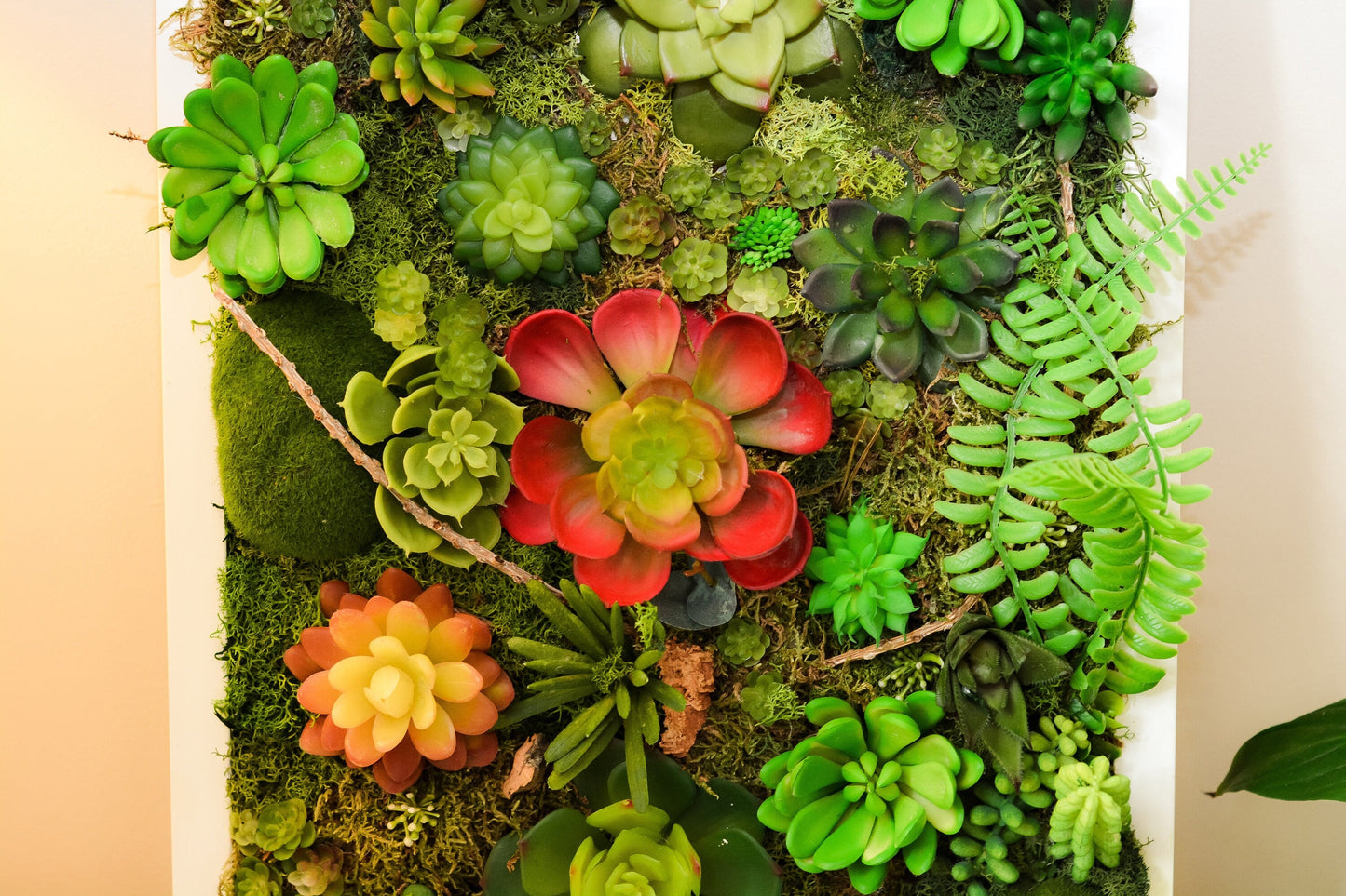 Succulent wall art | succulent gifts RishStudio