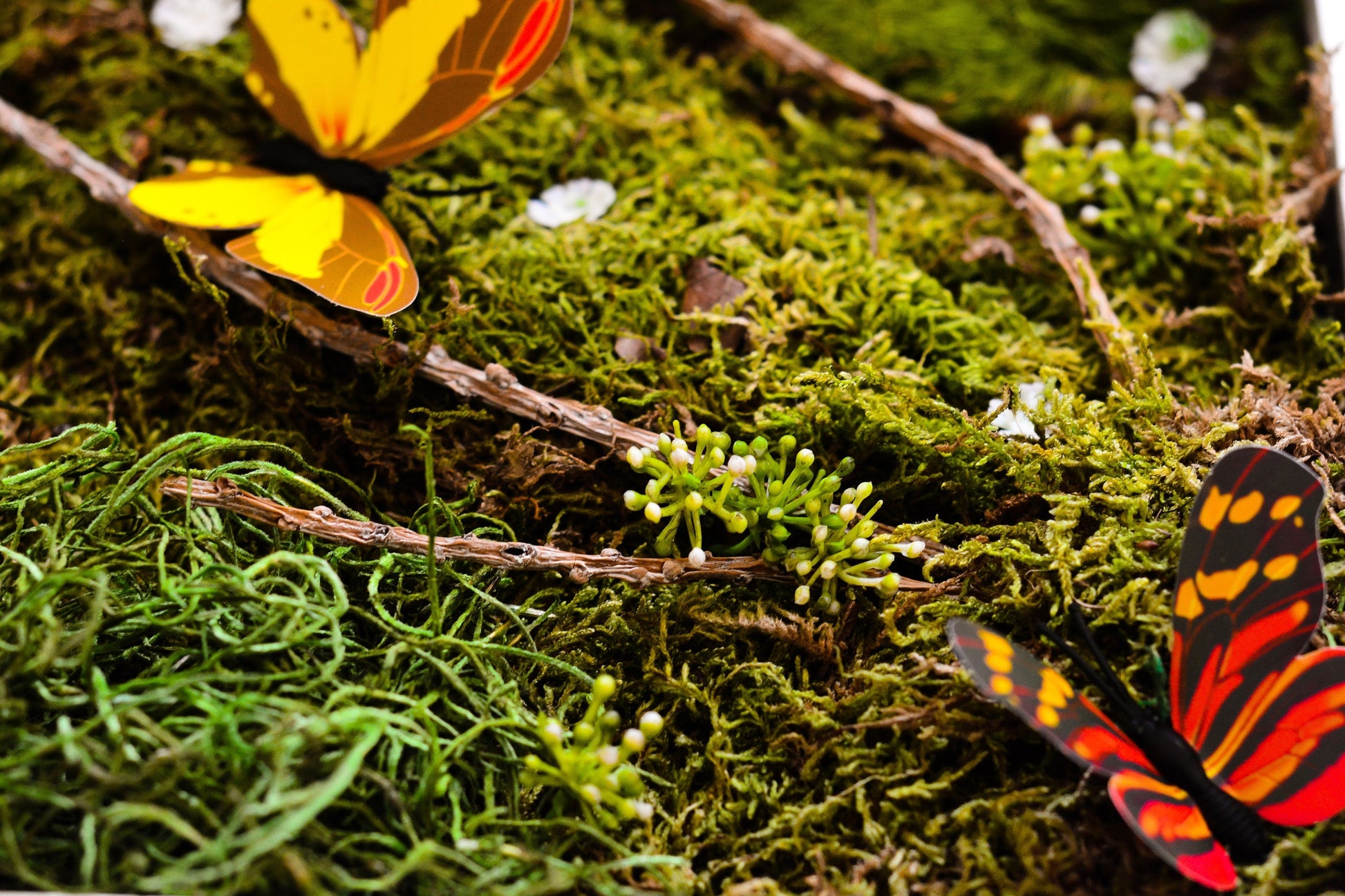 Moss wall art | Living wall | Wall art RishStudio