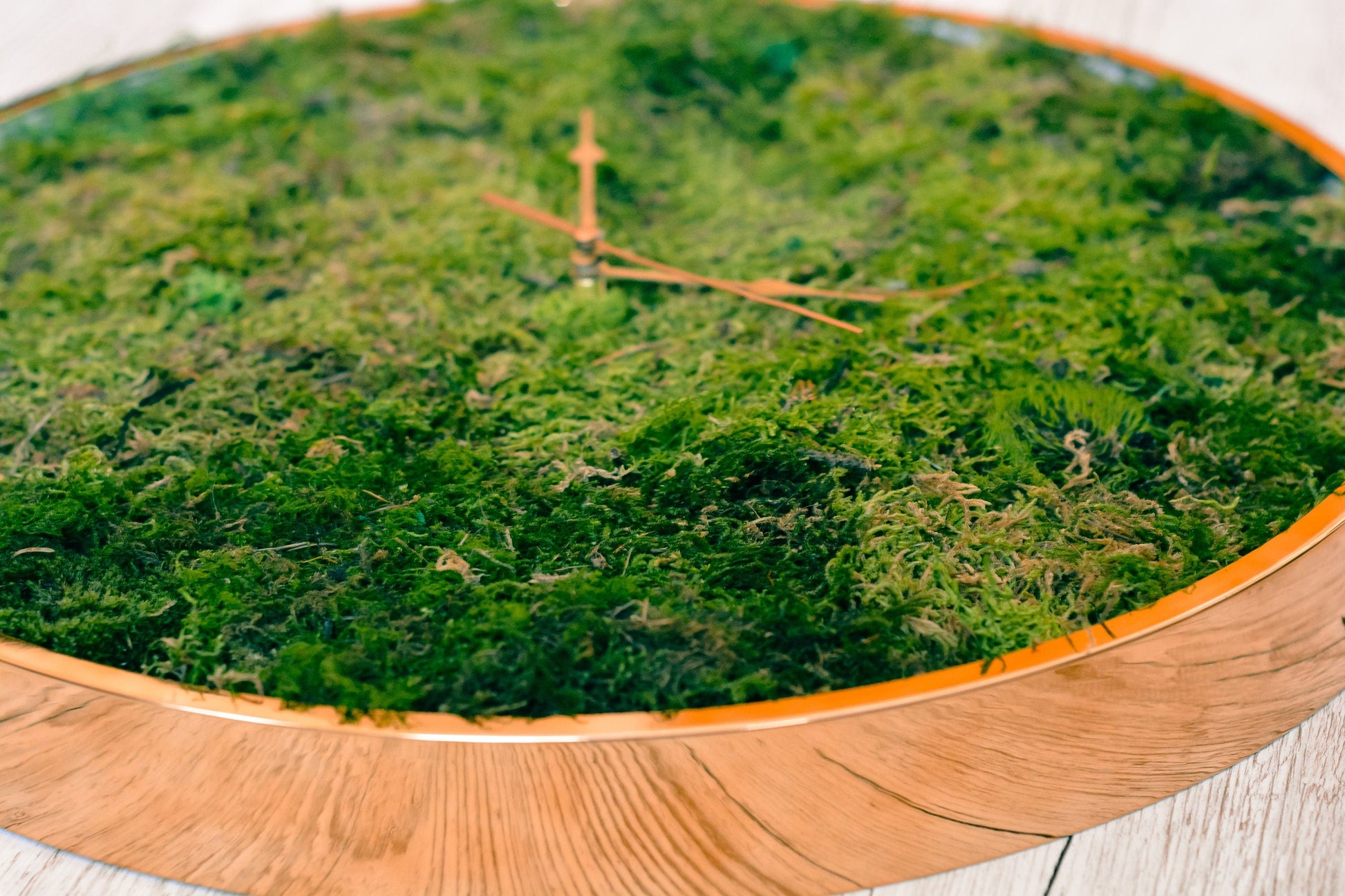 Moss Wall Clock | Kitchen clock | Modern Wall Clock RishStudio