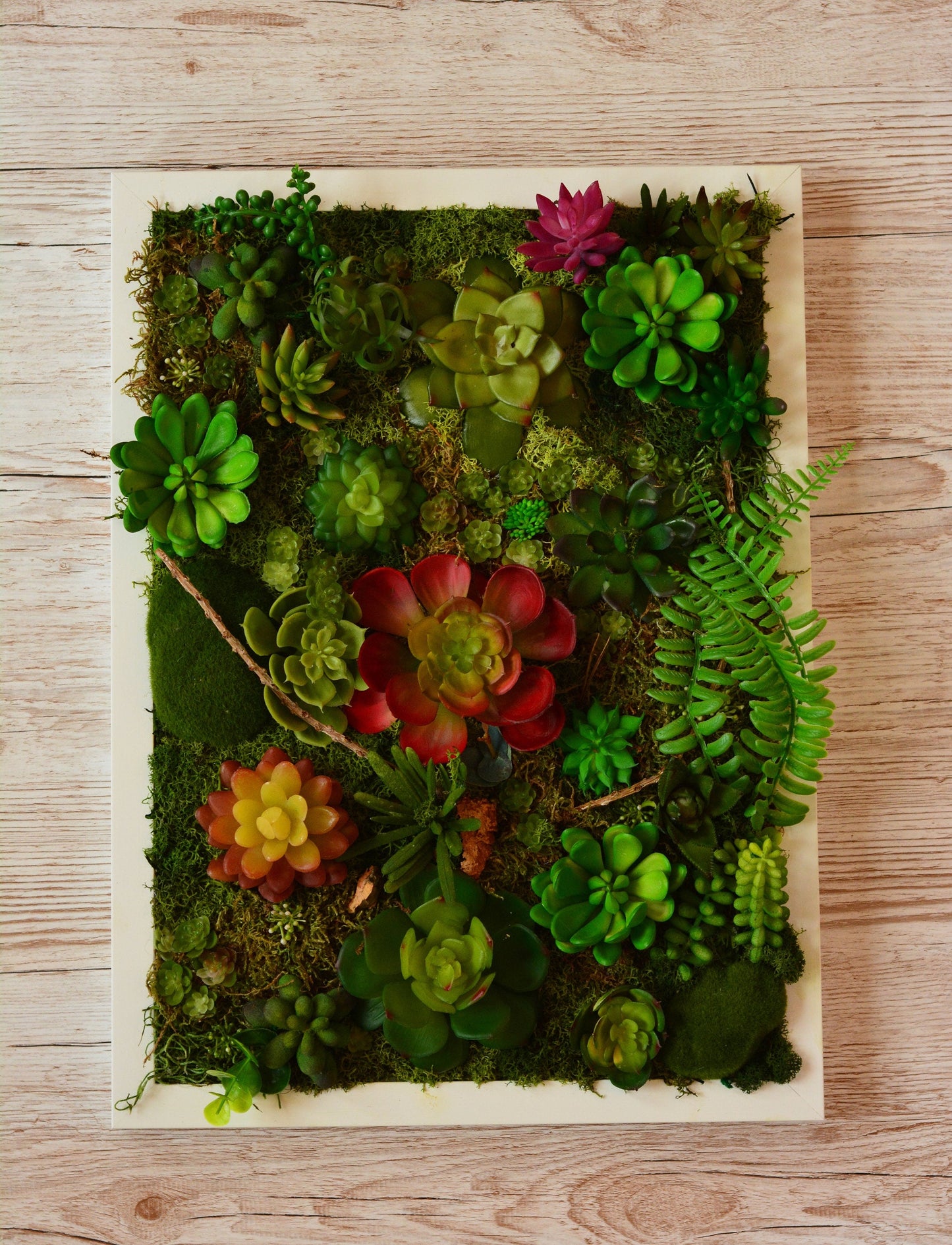 Succulent wall art | succulent gifts RishStudio