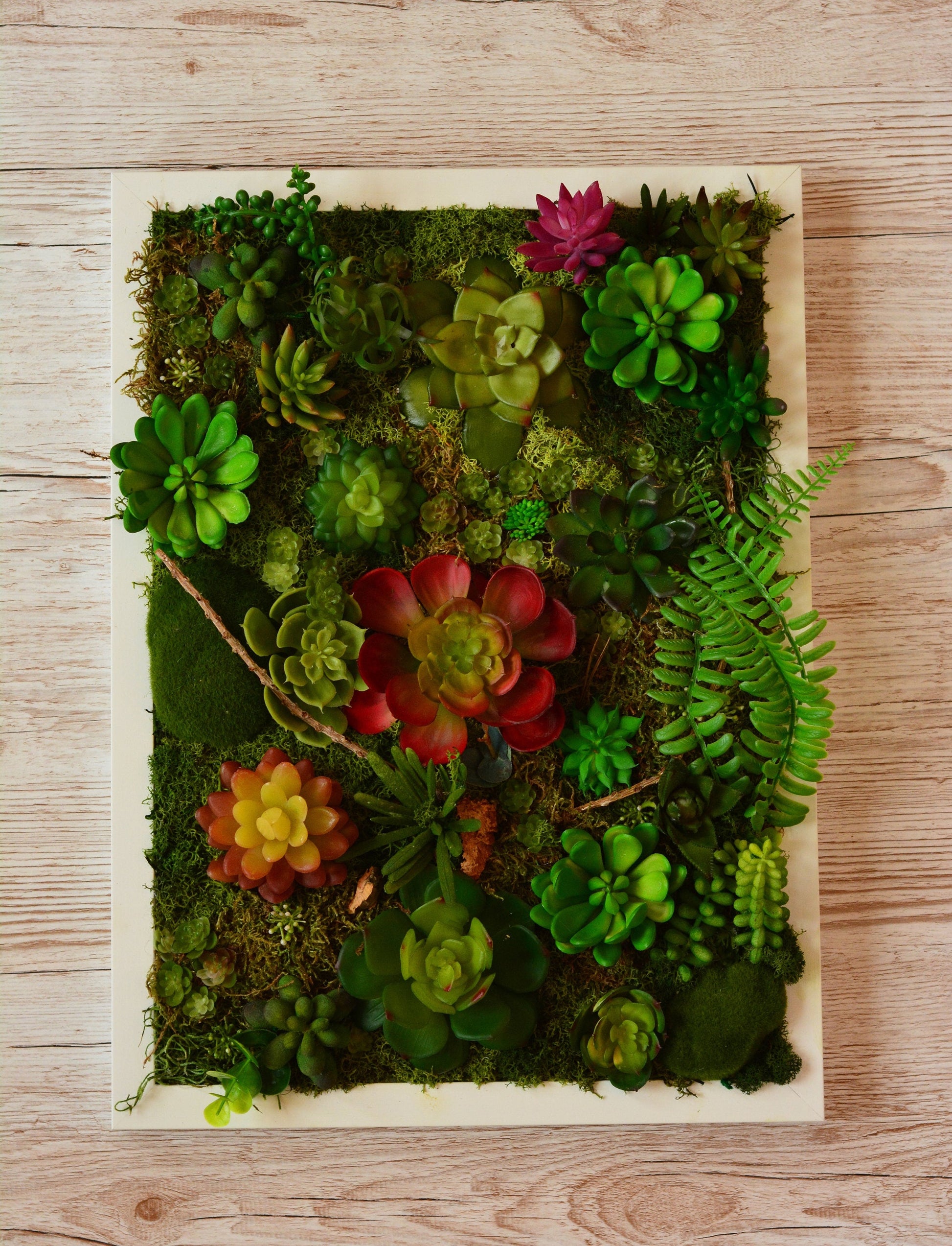 Succulent wall art | succulent gifts RishStudio