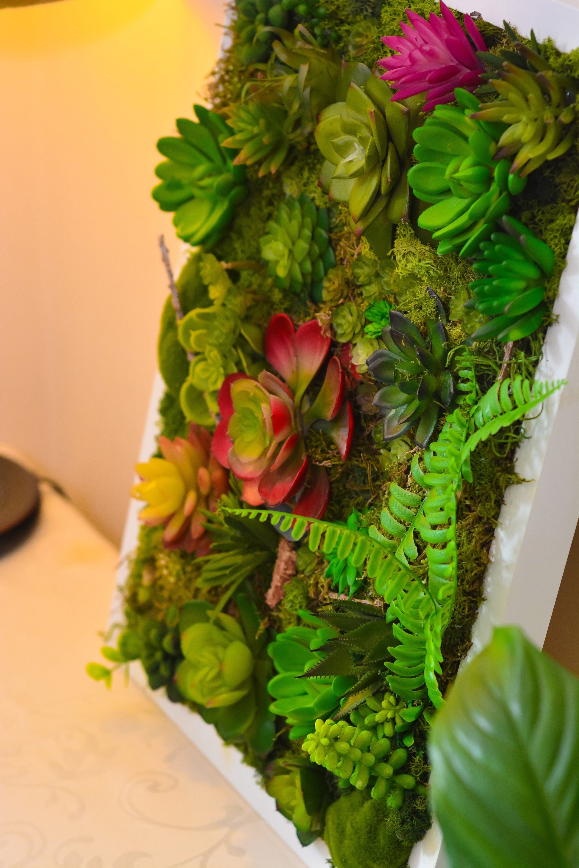 Succulent wall art | succulent gifts RishStudio