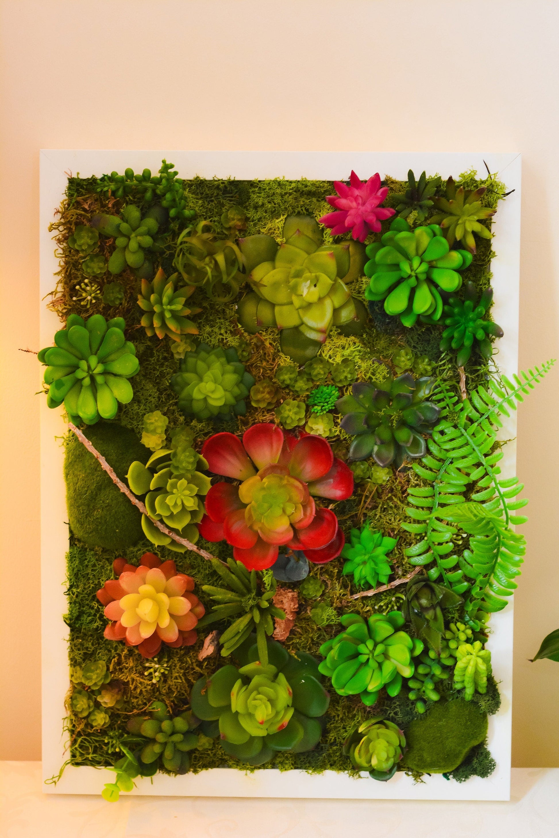 moss and succulent wall art Succulent wall art