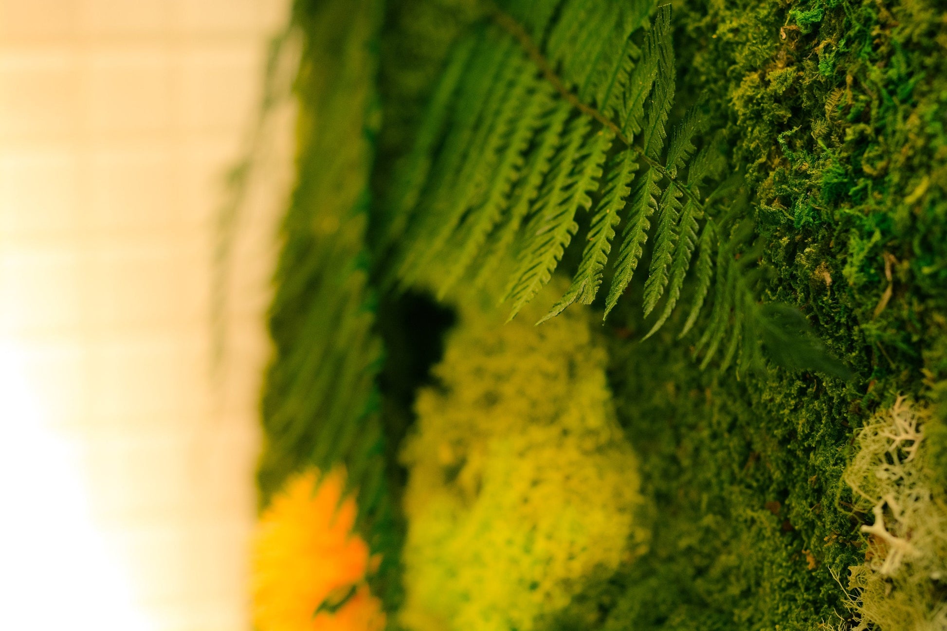 Moss Wall | preserved Moss wall panel | living wall RishStudio