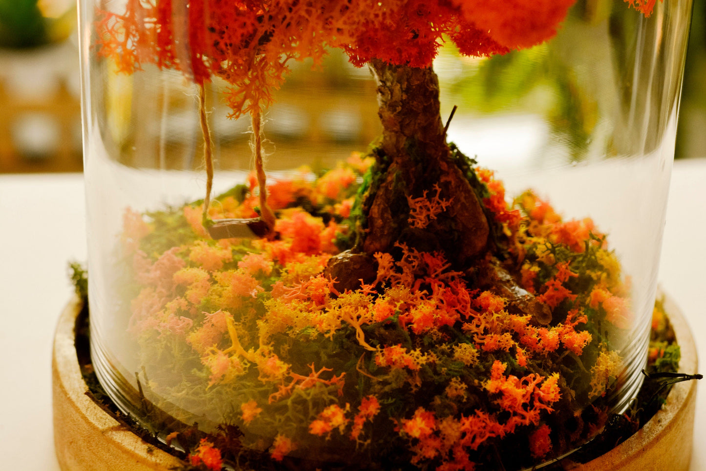 Autumn Terrarium Kit | Terrarium Kit mossartbyrishstudio