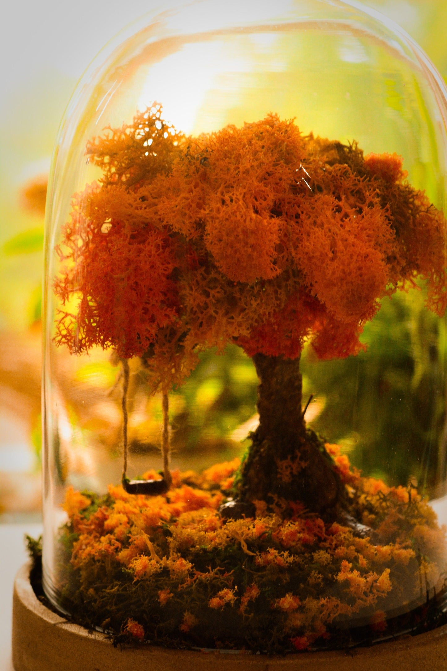 Autumn Terrarium Kit | Terrarium Kit mossartbyrishstudio