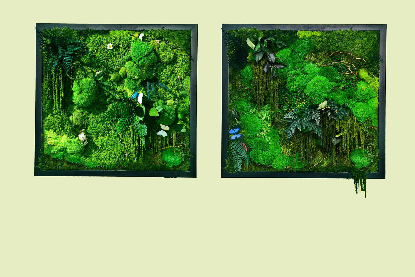 Moss Wall Art | Moss Wall Art set of two 50 x 50 CM RishStudio