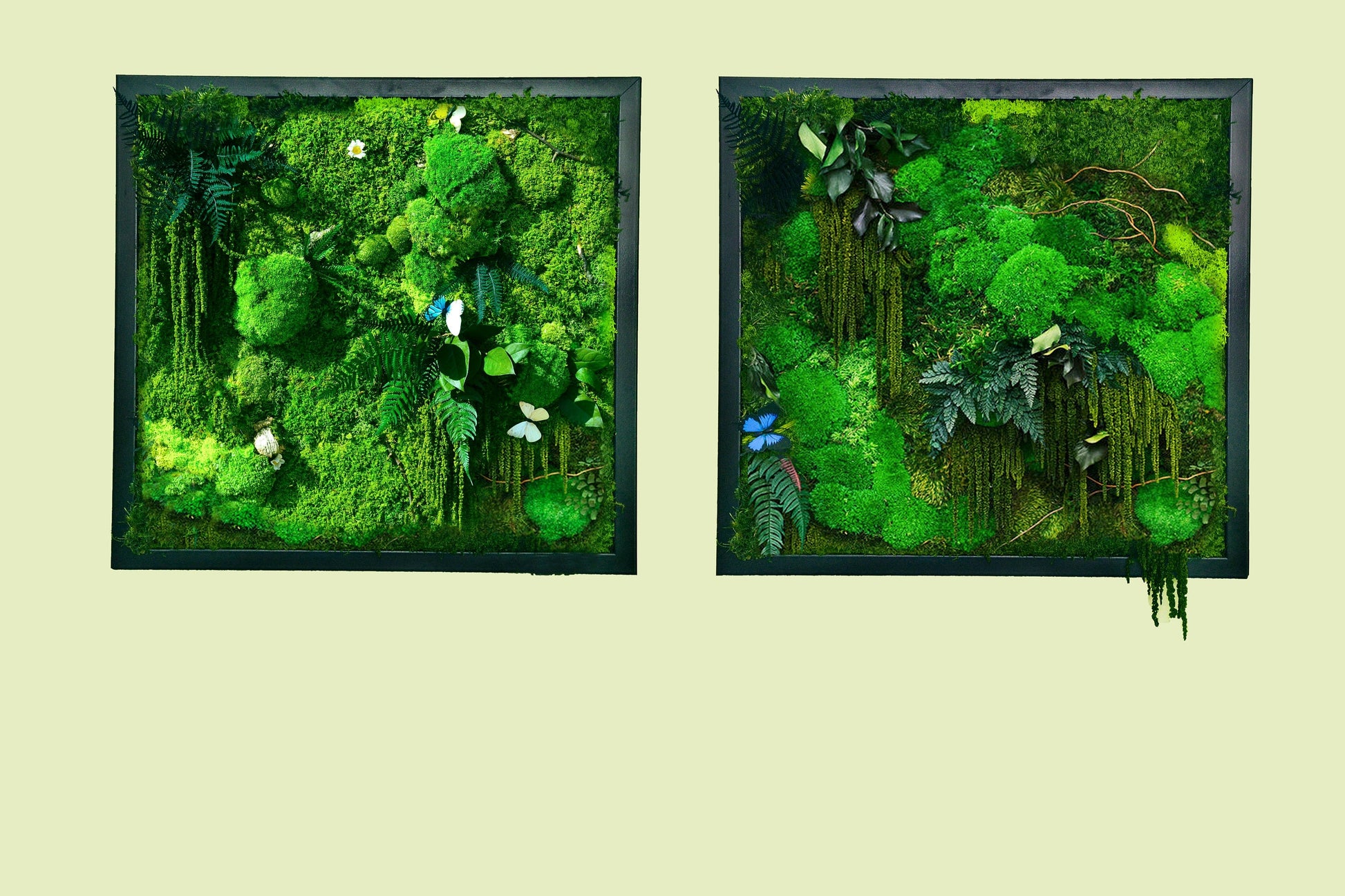 Moss Wall Art | Moss Wall Art set of two 50 x 50 CM RishStudio