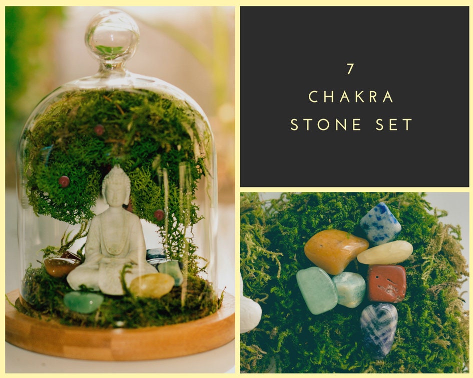 Buddha Terrarium, Round Glass Terrarium, Chakra Stone Set, Yoga Teacher Gift, Glass Terrarium, Plant Container, Preserved Moss Art Terrarium mossartbyrishstudio