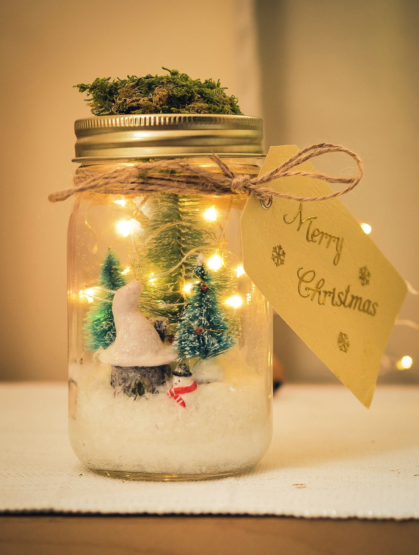Christmas Mason Jar Light: Winter Wonderland Fairy Lights Christmas Gifts mossartbyrishstudio