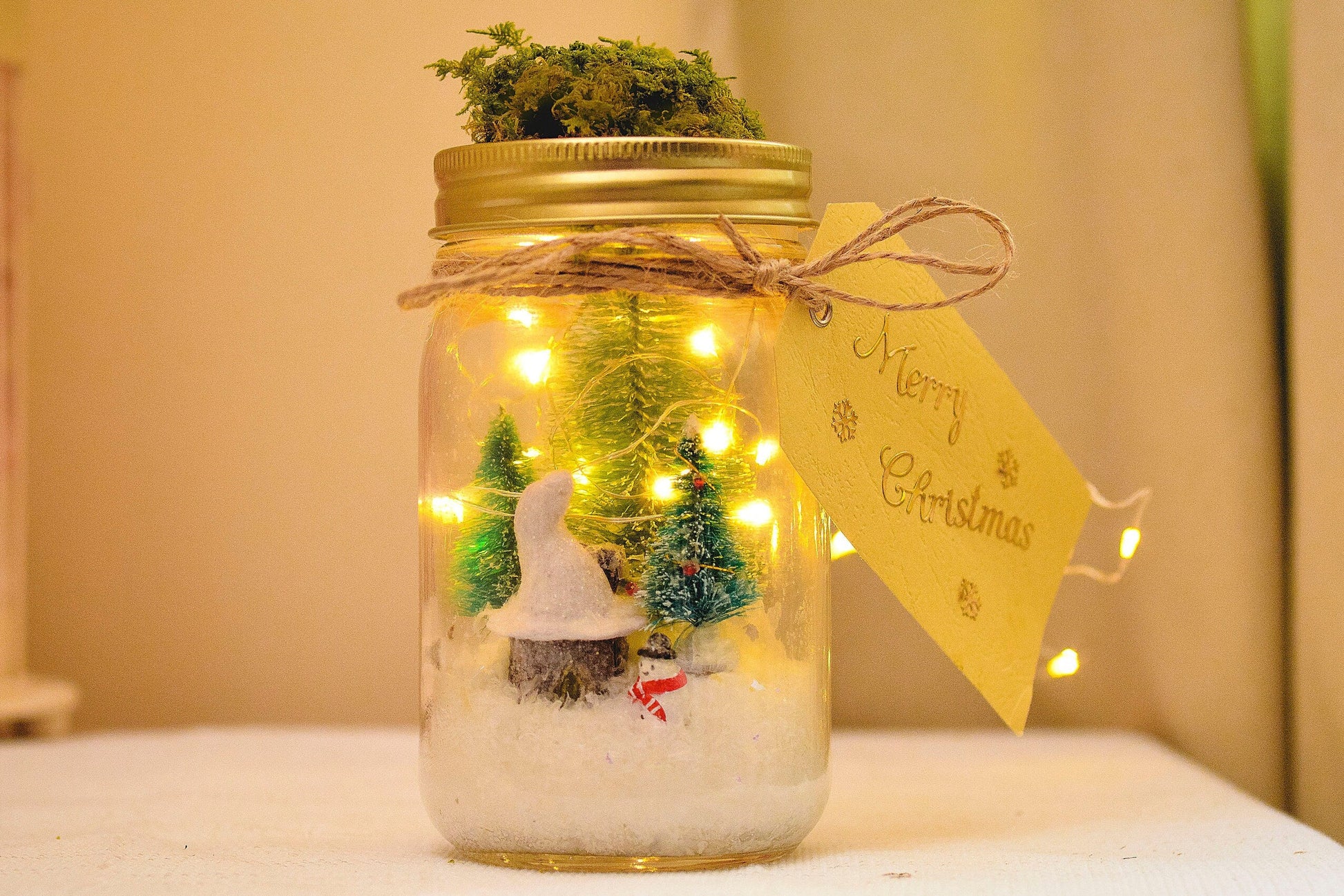 Christmas Mason Jar Light: Winter Wonderland Fairy Lights Christmas Gifts mossartbyrishstudio