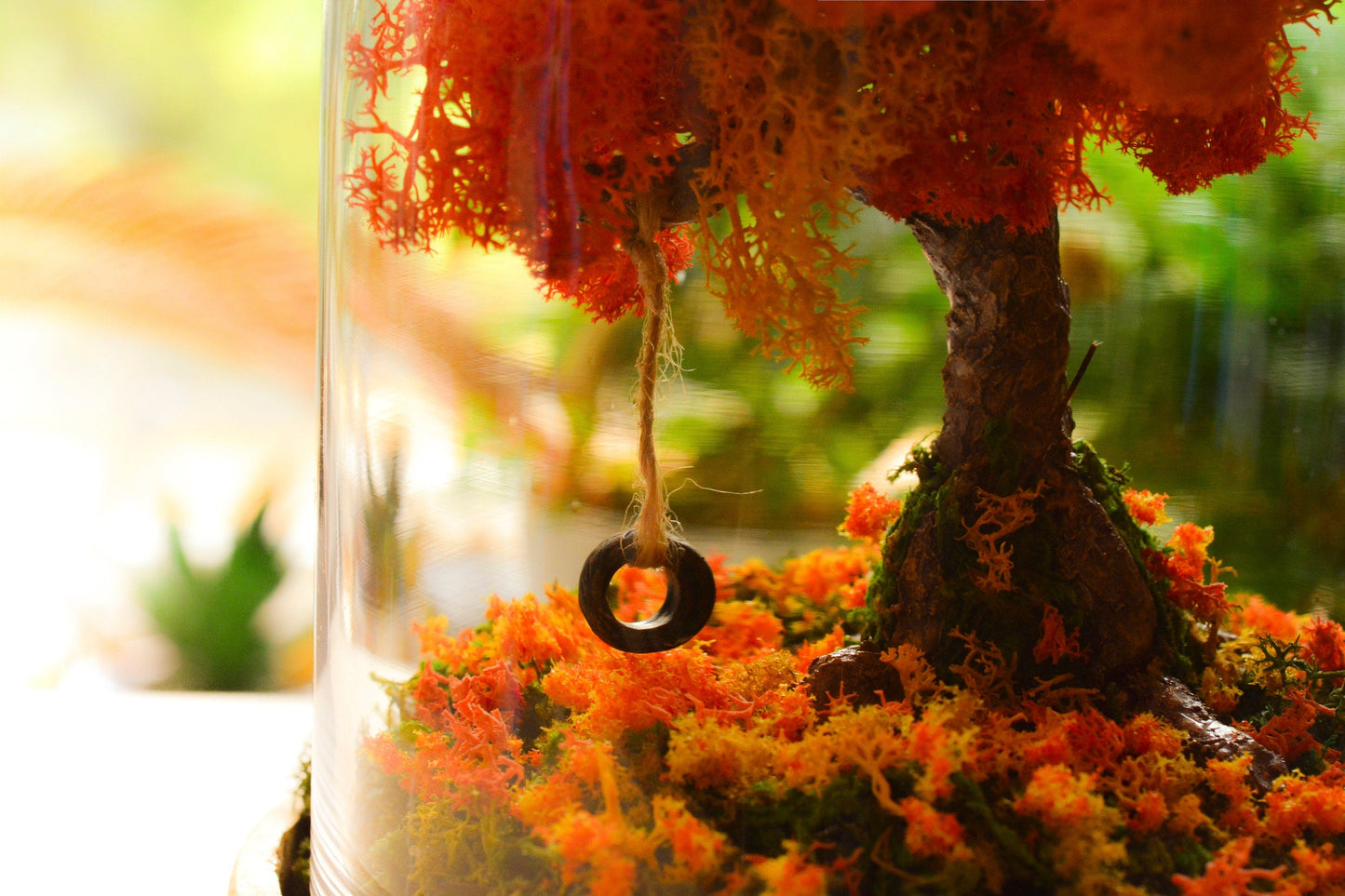 Autumn Terrarium Kit | Terrarium Kit mossartbyrishstudio
