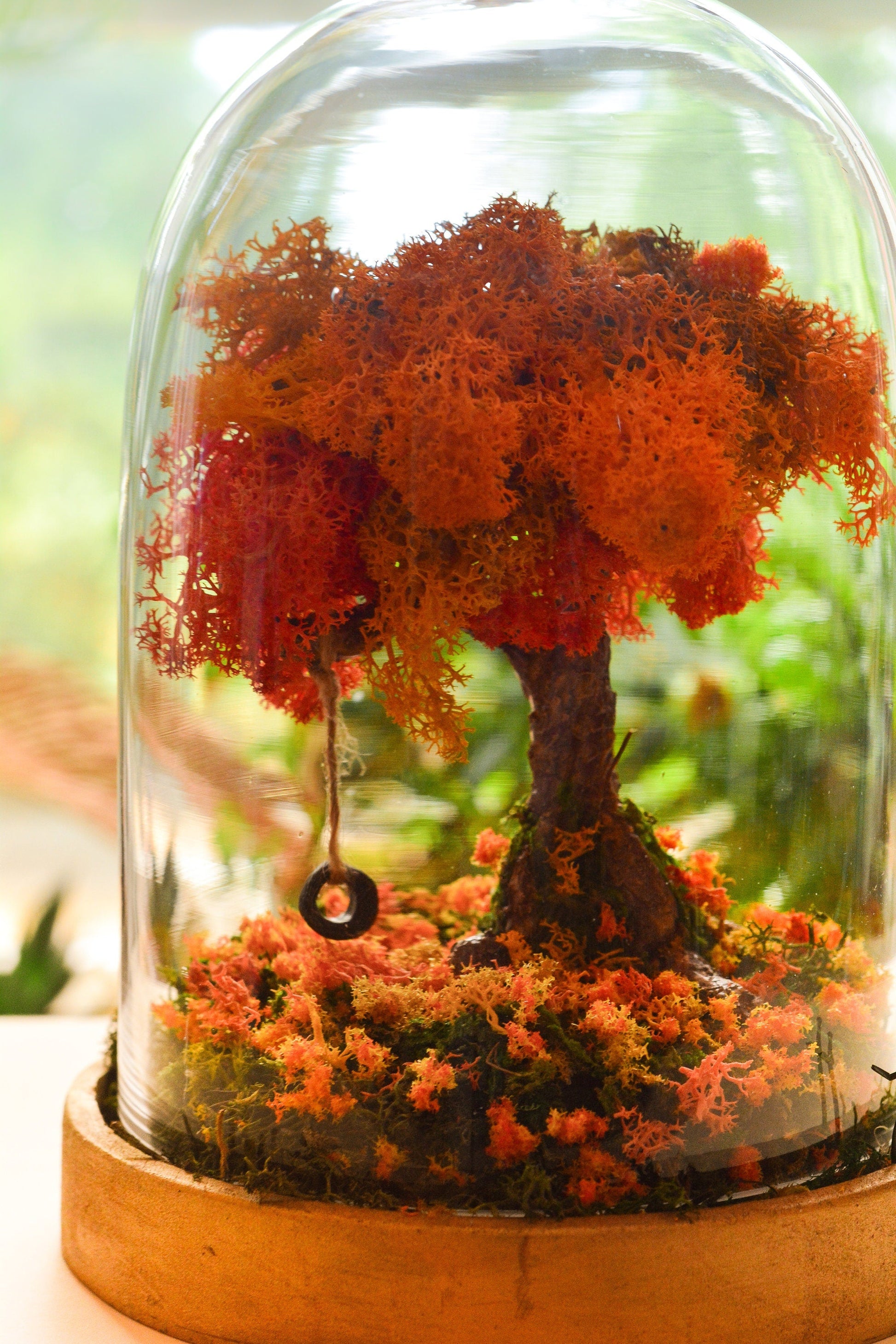 Autumn Terrarium Kit | Terrarium Kit mossartbyrishstudio