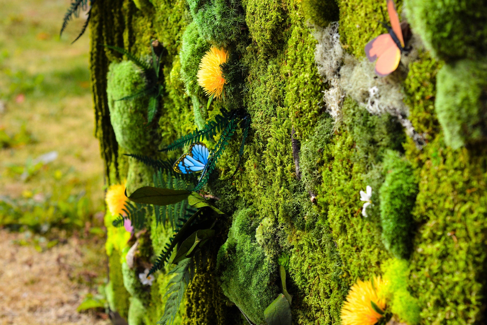 Moss Wall | preserved Moss wall panel | living wall RishStudio