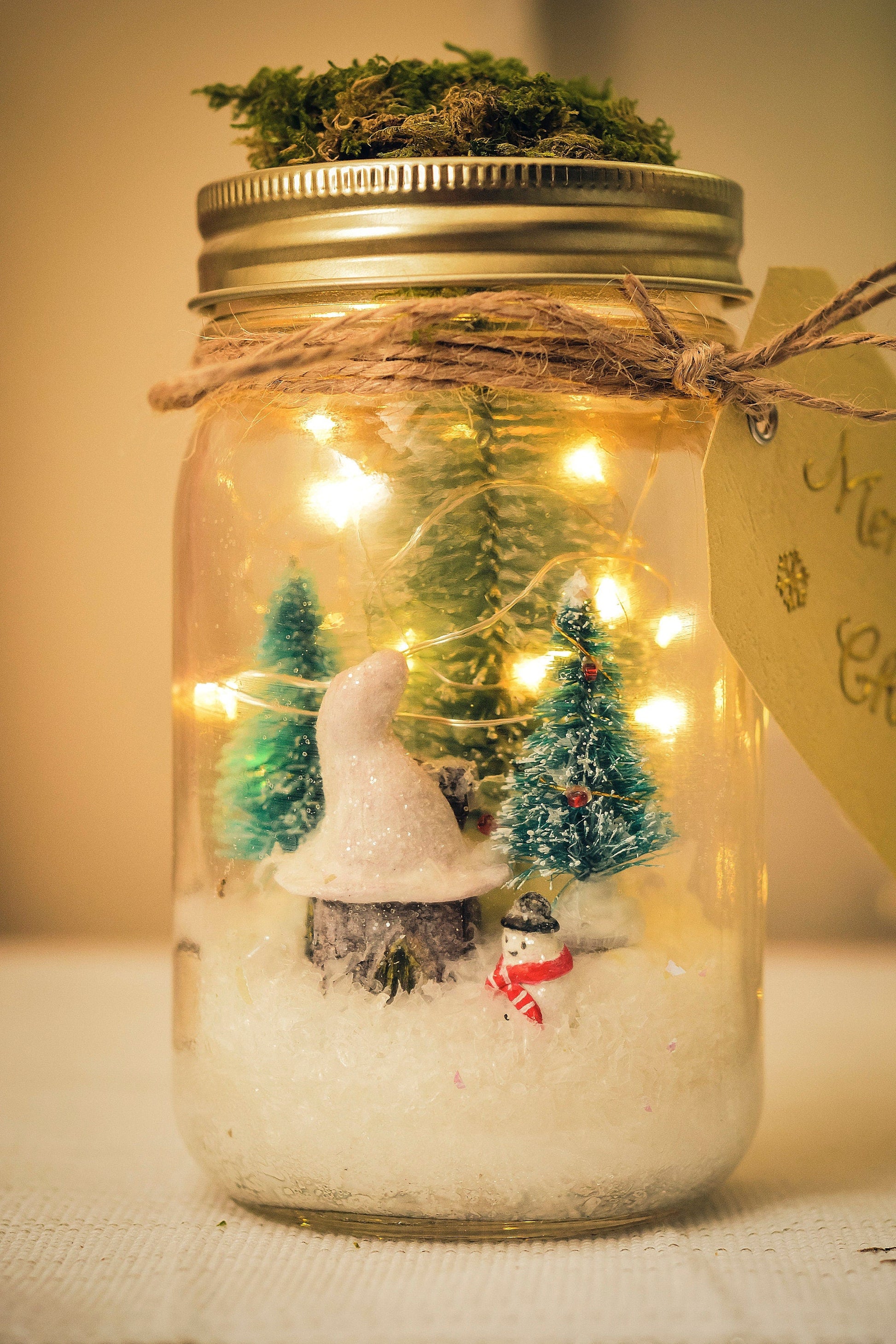 Christmas Mason Jar Light: Winter Wonderland Fairy Lights Christmas Gifts mossartbyrishstudio