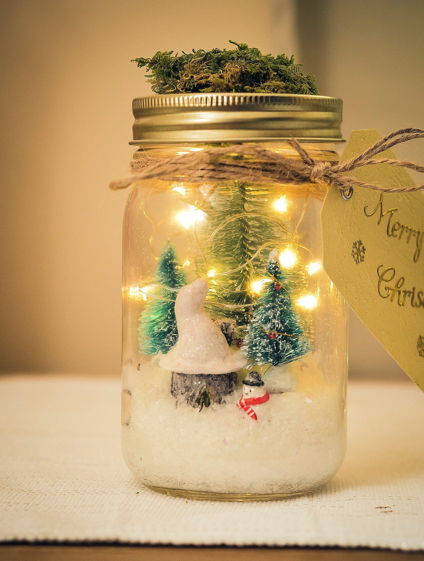 Christmas Mason Jar Light: Winter Wonderland Fairy Lights Christmas Gifts mossartbyrishstudio
