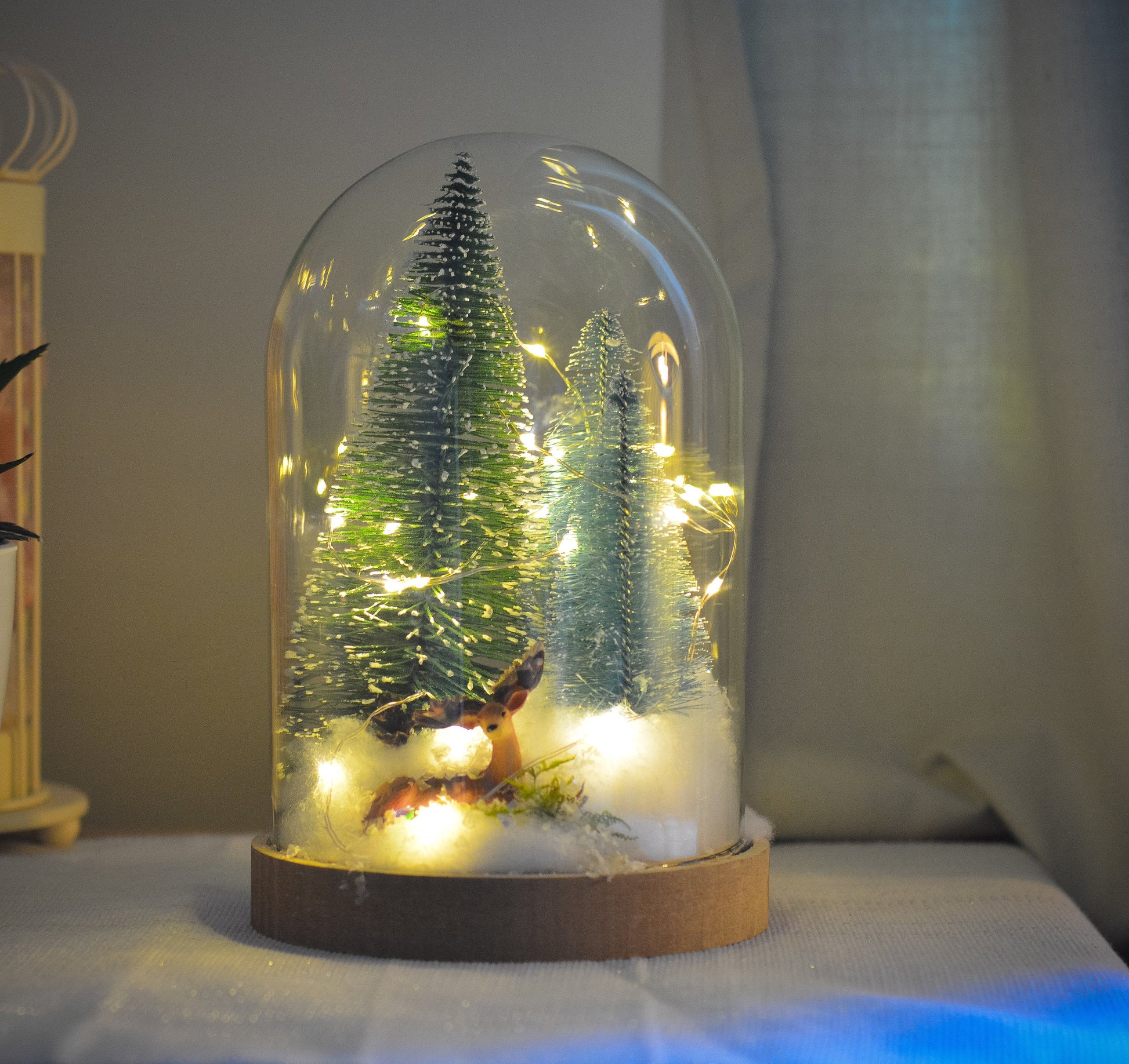 Christmas Terrarium Kit | Glass Dome with Fairy lights | Christmas Decorations RishStudio